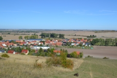 Sample - Klick to see big image